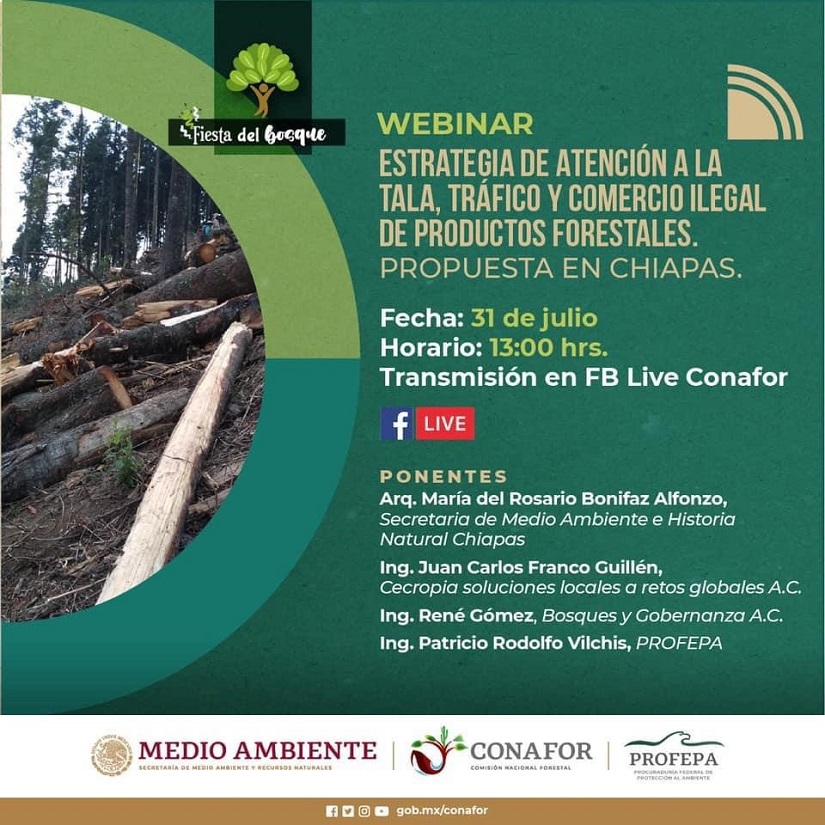 mexico1